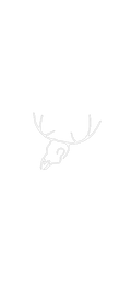 White Stag Studio